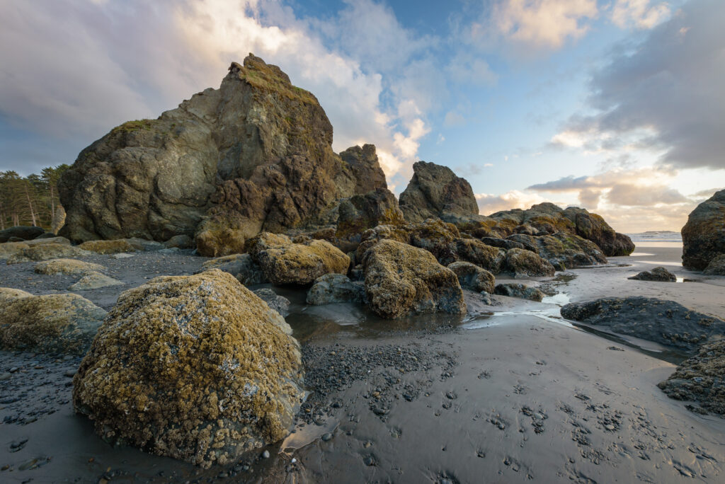 Rocks on Ruby Beach
