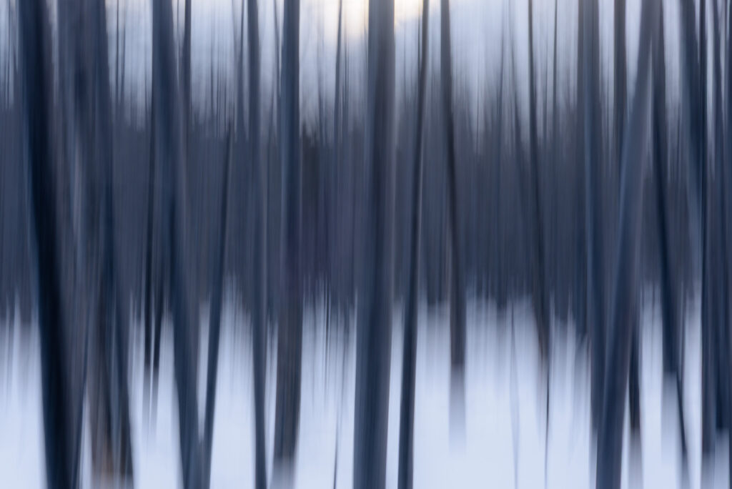 Motion blur of the Bobby Socks Trees of Yellowstone in Winter