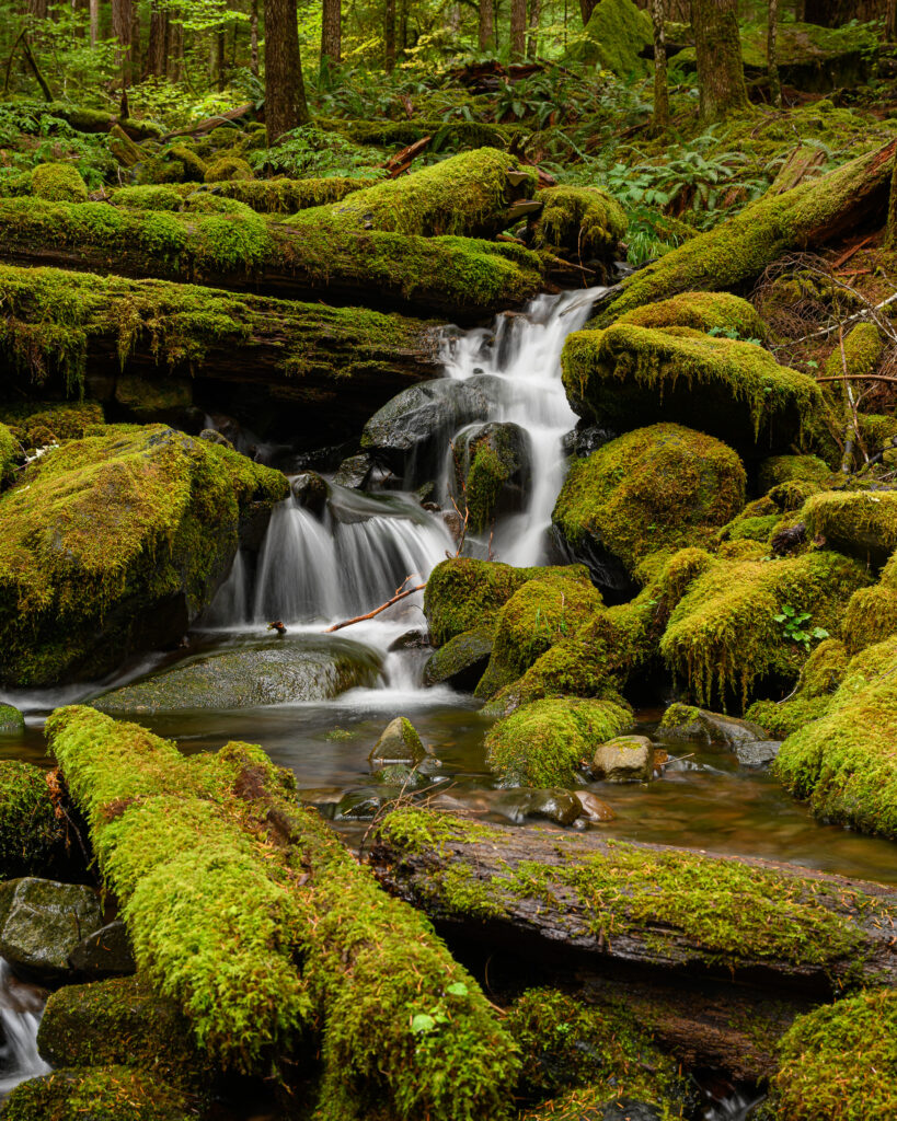 Waterfall in Olympic National Park