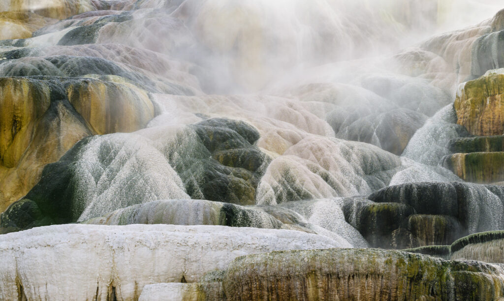 Travertine terraces at Yellowstone's Mammoth Hot Springs