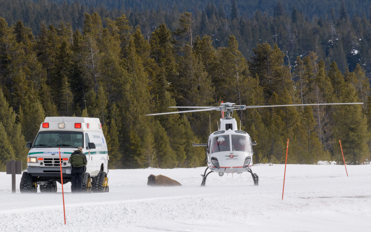 Medical evacuation in Yellowstone National Park