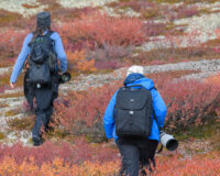 Photographers hiking in tundra