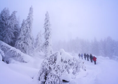 Photographers hike in snow in Yellowstone National Park