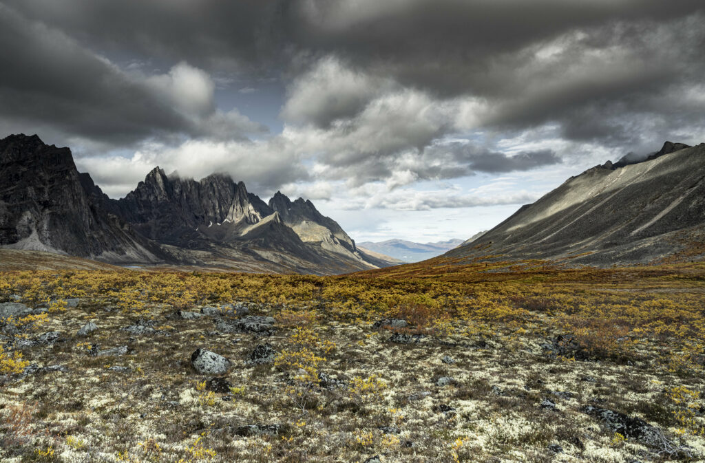 Fall colors paint the tundra in northern Yukon