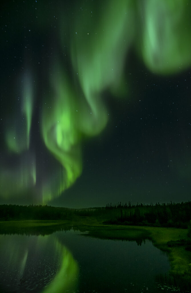 Northern lights rise from the horizon in Yellowknife