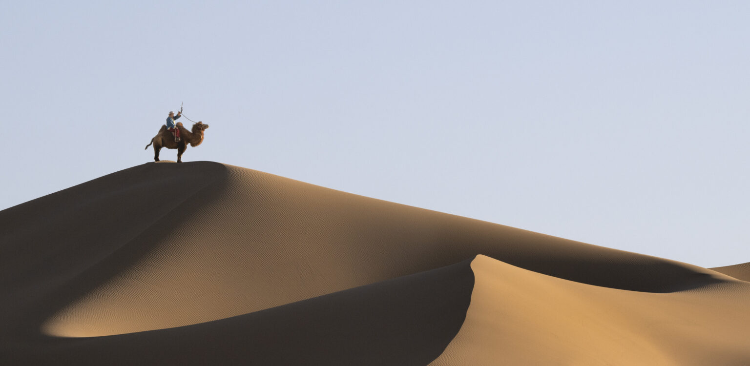 A Camel herder on top of the dunes in the Gobi desert
