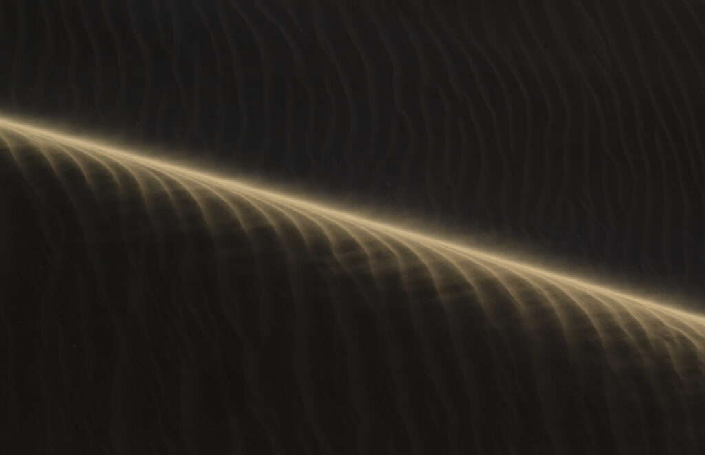 Sand Dune Details in Sandwich Harbour