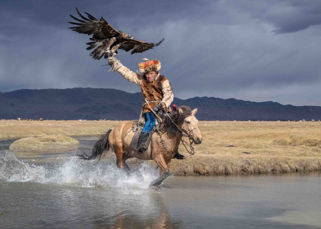 Eagle Hunter running through the water