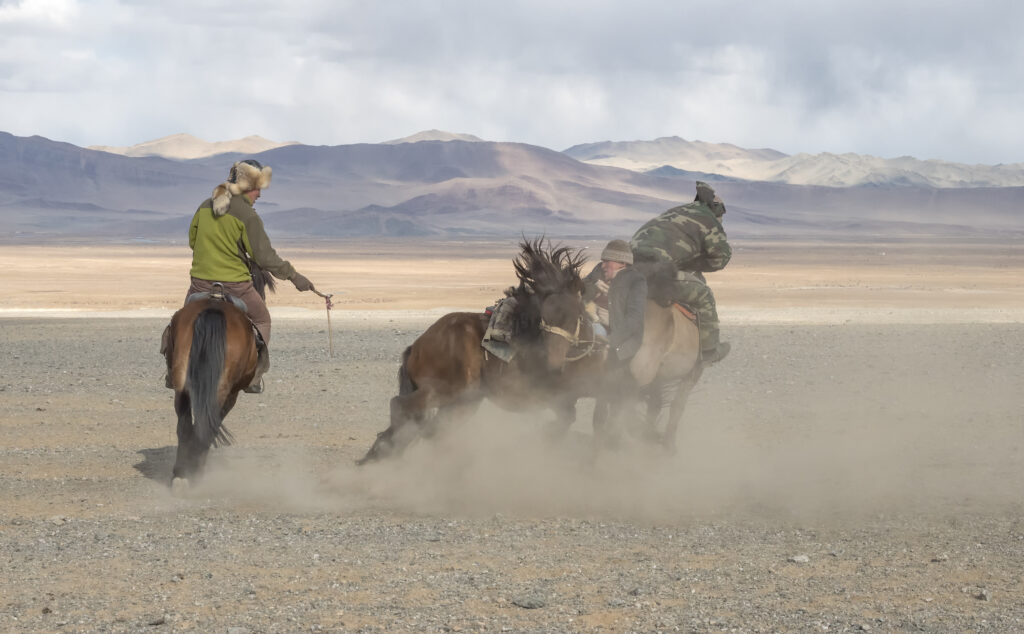 Two Eagle hunters fight for a goat carcass in western Mongolia