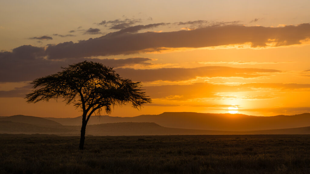 sunrise on African savanna