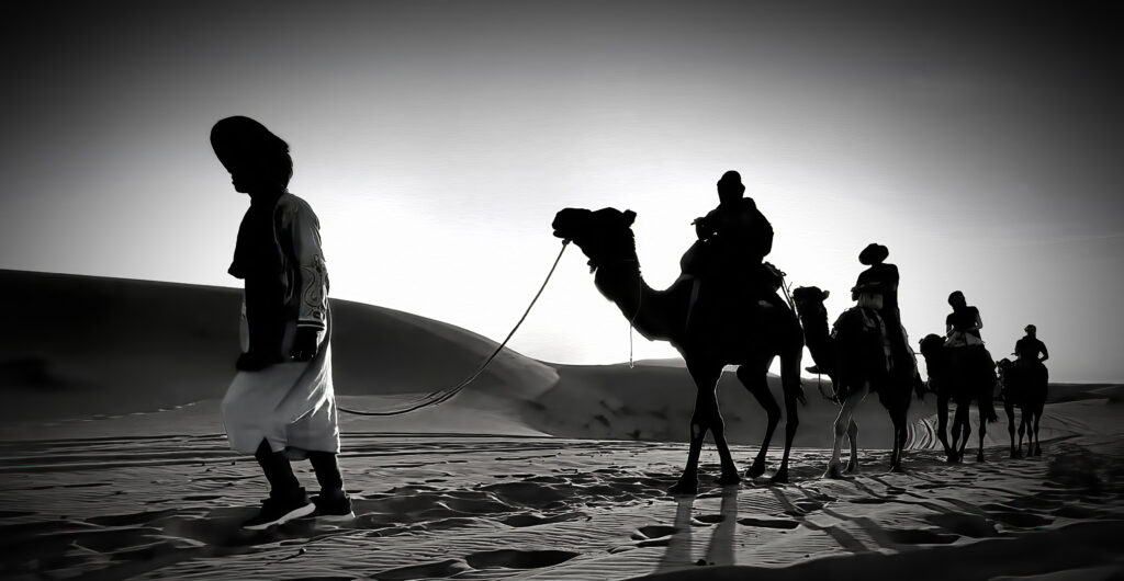 Camel caravan in the Saharan desert