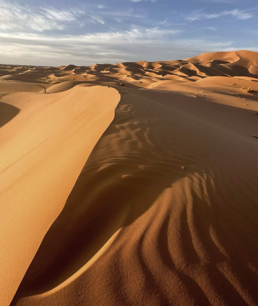 Sand dunes of the Saharan desert