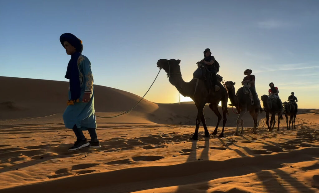 Camel caravan in the Saharan desert