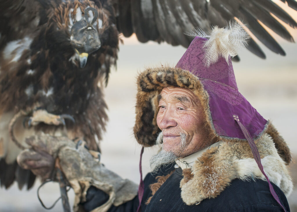 Elderly Kazakh eagle hunter with golden eagle