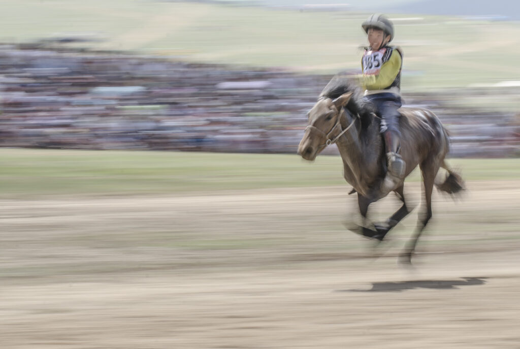 Naadam festival horse racing