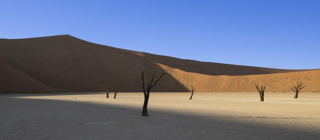 Deadvlei as the shadows dance across the floor