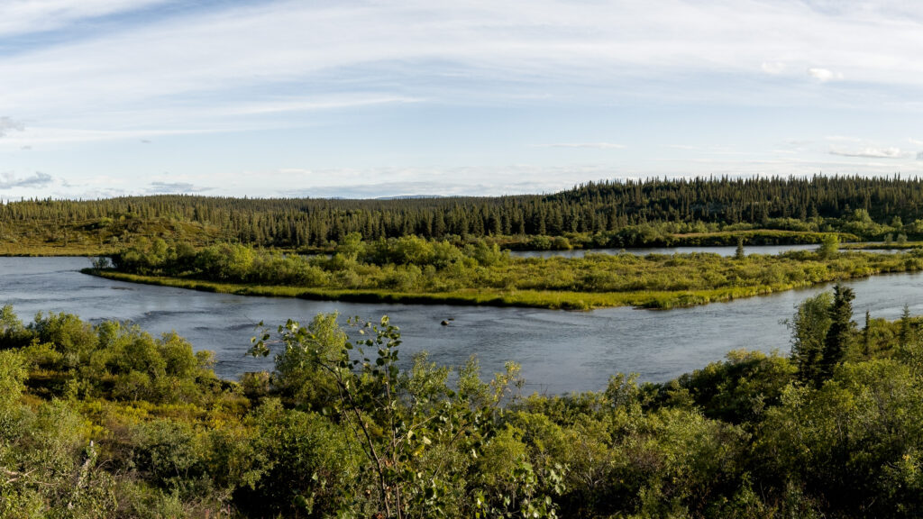 View from the lodge