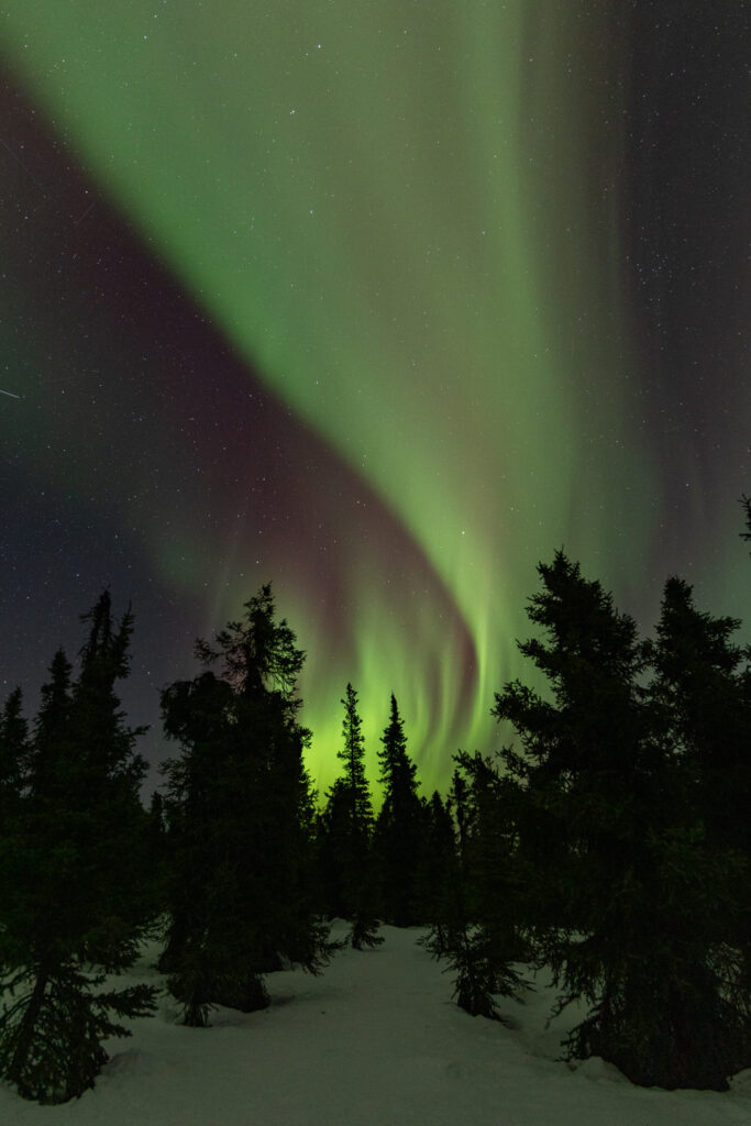 Northern Lights in Alaska