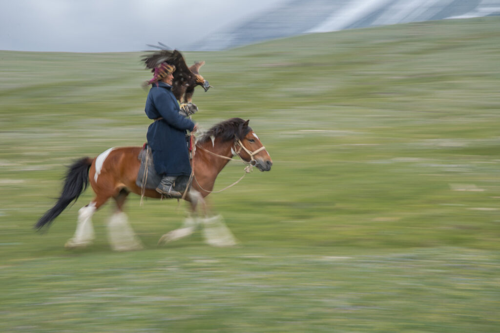Mongolian eagle hunter panning