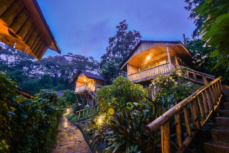 Lodge in Bwindi Impenetrable Forest
