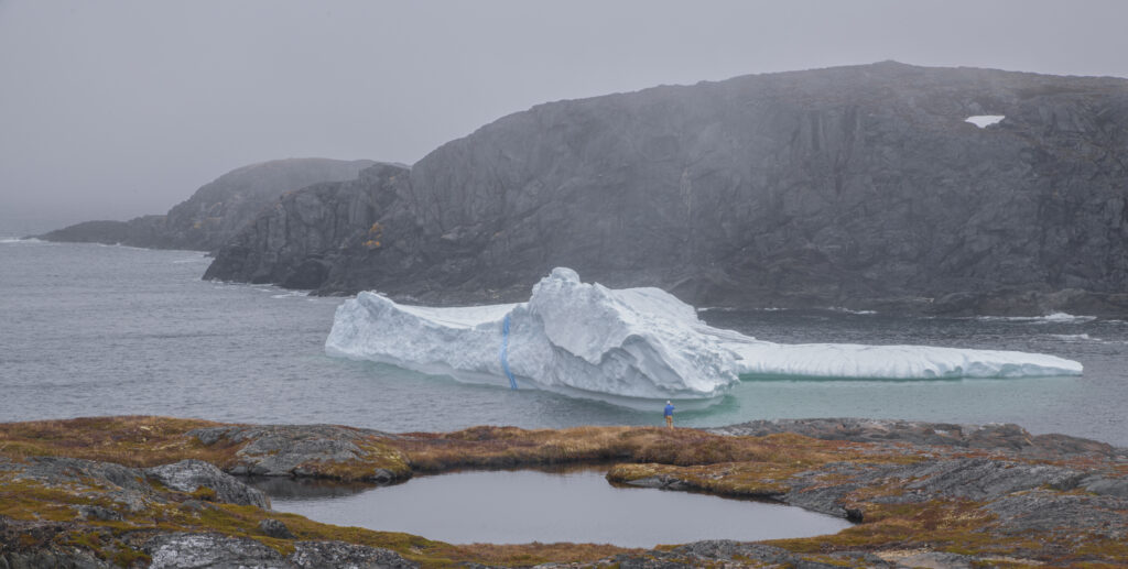Admiring the iceberg