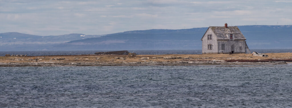 flower cove lighthouse