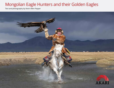 Mongolian Eagle Hunters and their Golden Eagles eBook