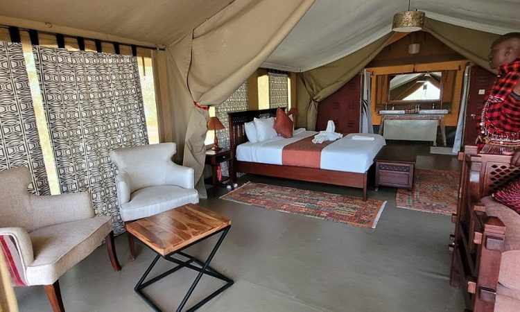 Olive Bush Camp